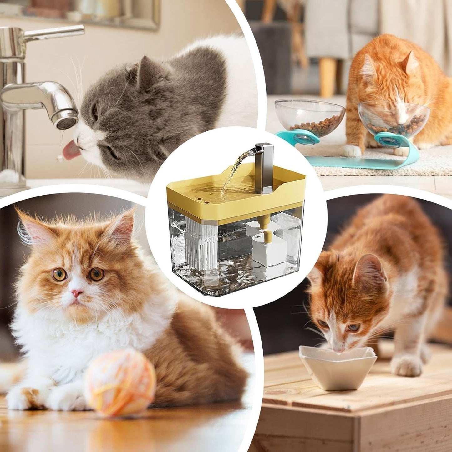 😻💧Automatic Pet Water Fountain🐶✨